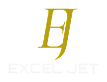 Excel Aviation Services PVT. LTD._logo
