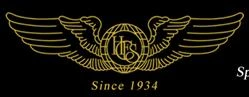 Hinson Corporate Flight Services, Inc._logo