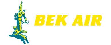 Bek Air_logo