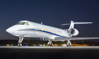 N393VF image