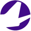 Air Fleet Leasing and Management Company, Inc_logo