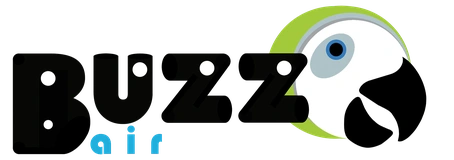 Buzz Air, Inc_logo
