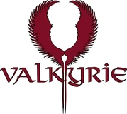 Valkyrie Air, LLC_logo