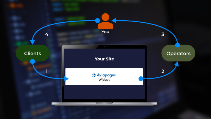 Widget schema